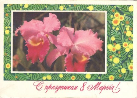Международный женский день