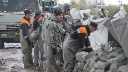 Продолжение темы «Армия моей страны»
