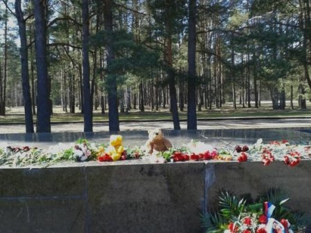 НАБАТ И ПЕПЕЛ
