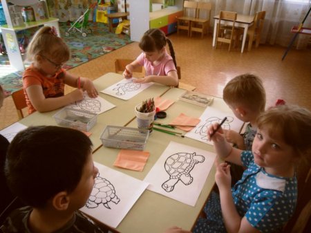 Черепахи разные…
