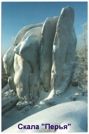 Новые музейные поступления