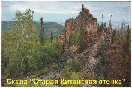 Новые музейные поступления