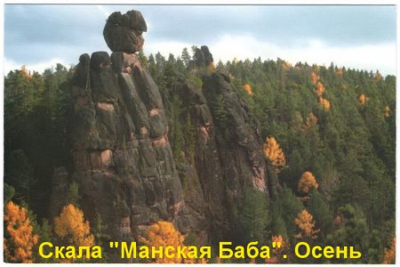 Новые музейные поступления