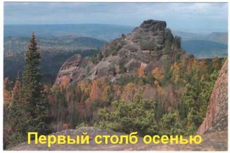 Новые музейные поступления