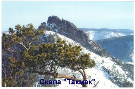Новые музейные поступления