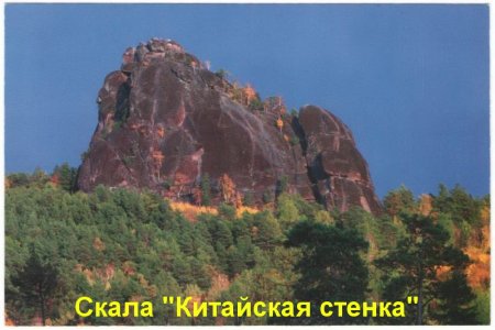 Новые музейные поступления