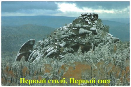Новые музейные поступления