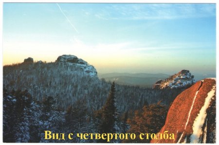 Новые музейные поступления
