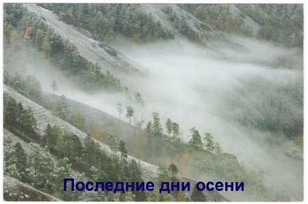 Новые музейные поступления