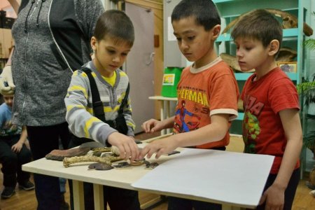 Археологические раскопки Археологические раскопки