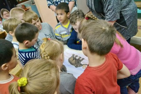 Археологические раскопки Археологические раскопки