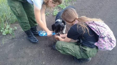 Иван Купала Иван Купала