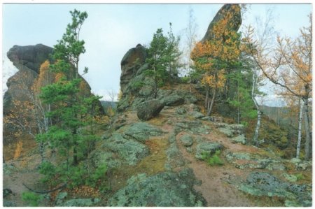 Виртуальная выставка Виртуальная выставка